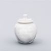 Legacy White Memory Token Natural Marble Cremation Urn